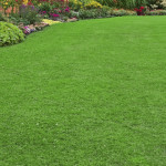 Green Lawn in Landscaped Formal Garden